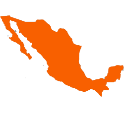 logistica